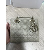 디올 레이디백